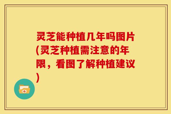 灵芝能种植几年吗图片(灵芝种植需注意的年限，看图了解种植建议)