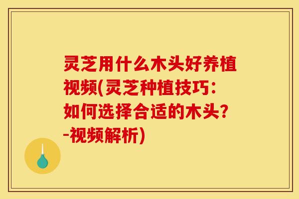 灵芝用什么木头好养植视频(灵芝种植技巧:如何选择合适的木头?-视频解析)