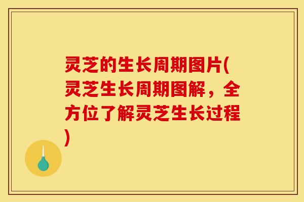 灵芝的生长周期图片(灵芝生长周期图解,全方位了解灵芝生长过程)