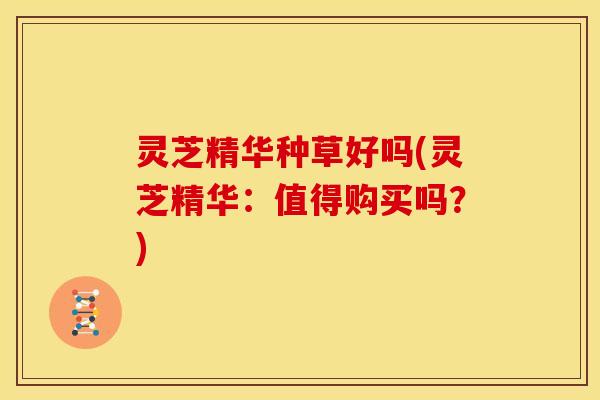 灵芝精华种草好吗(灵芝精华:值得购买吗?)