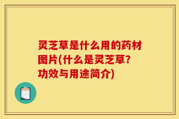 灵芝草是什么用的药材图片(什么是灵芝草？功效与用途简介)