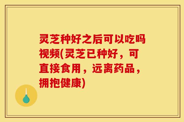 灵芝种好之后可以吃吗视频(灵芝已种好,可直接食用,远离药品,拥抱健康)