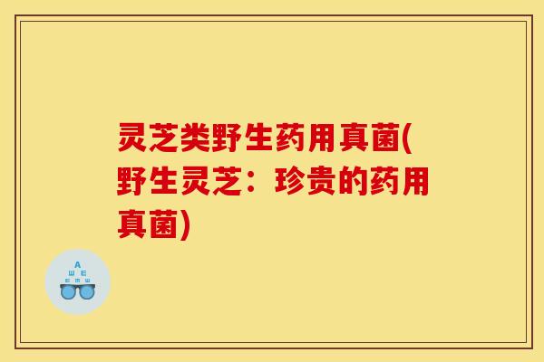 灵芝类野生药用真菌(野生灵芝:珍贵的药用真菌)