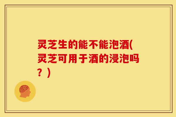 灵芝生的能不能泡酒(灵芝可用于酒的浸泡吗？)