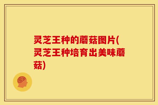 灵芝王种的蘑菇图片(灵芝王种培育出美味蘑菇)