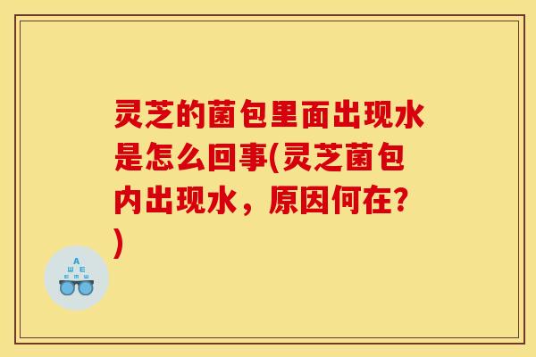 灵芝的菌包里面出现水是怎么回事(灵芝菌包内出现水，原因何在？)