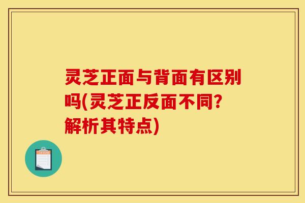 灵芝正面与背面有区别吗(灵芝正反面不同？解析其特点)