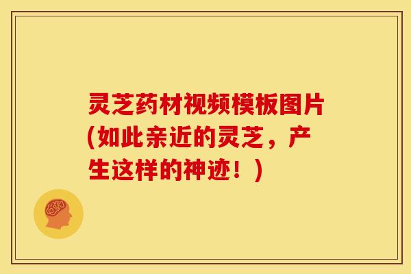 灵芝药材视频模板图片(如此亲近的灵芝,产生这样的神迹!)