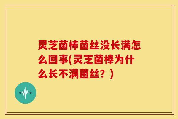 灵芝菌棒菌丝没长满怎么回事(灵芝菌棒为什么长不满菌丝?)