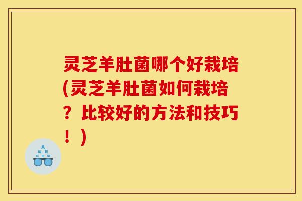 灵芝羊肚菌哪个好栽培(灵芝羊肚菌如何栽培?比较好的方法和技巧!)