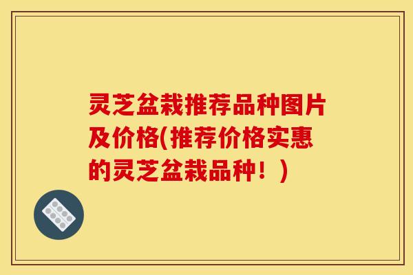 灵芝盆栽推荐品种图片及价格(推荐价格实惠的灵芝盆栽品种!)