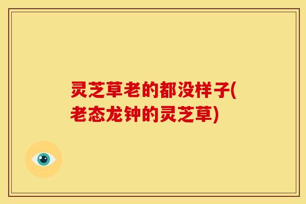 灵芝草老的都没样子(老态龙钟的灵芝草)