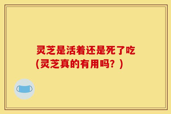 灵芝是活着还是死了吃(灵芝真的有用吗？)