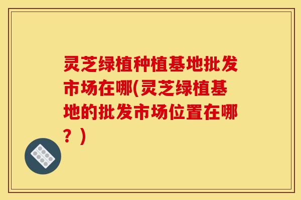 灵芝绿植种植基地批发市场在哪(灵芝绿植基地的批发市场位置在哪?)