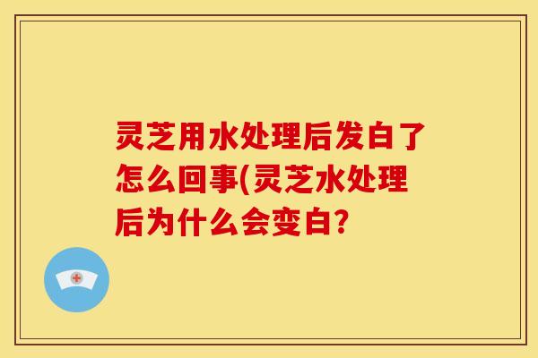 灵芝用水处理后发白了怎么回事(灵芝水处理后为什么会变白?