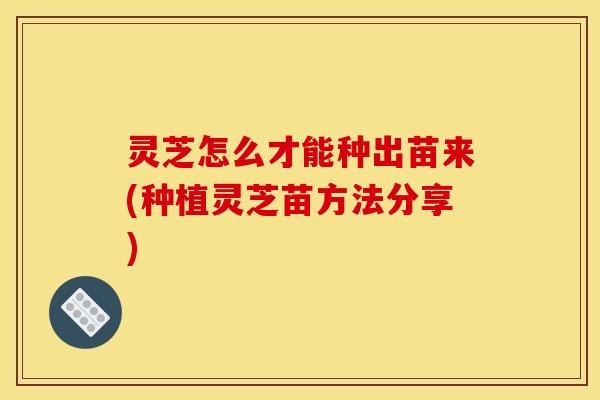 灵芝怎么才能种出苗来(种植灵芝苗方法分享)