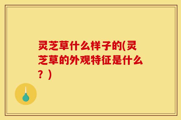 灵芝草什么样子的(灵芝草的外观特征是什么？)