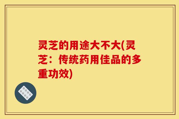 灵芝的用途大不大(灵芝:传统药用佳品的多重功效)