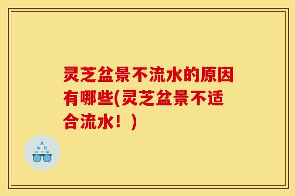 灵芝盆景不流水的原因有哪些(灵芝盆景不适合流水!)