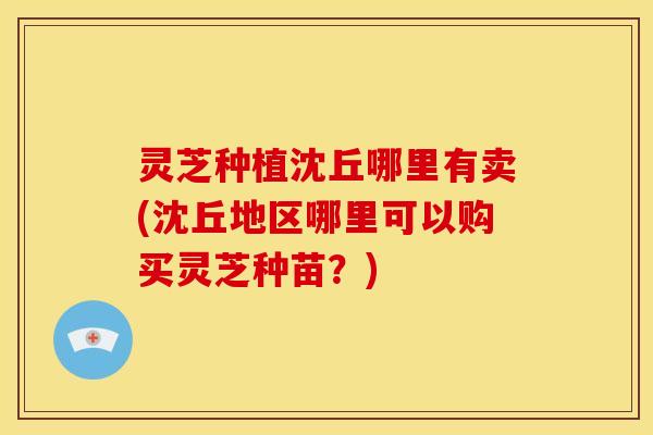 灵芝种植沈丘哪里有卖(沈丘地区哪里可以购买灵芝种苗?)