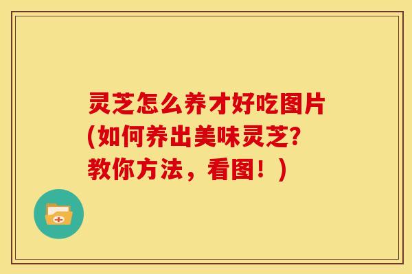 灵芝怎么养才好吃图片(如何养出美味灵芝?教你方法,看图!)