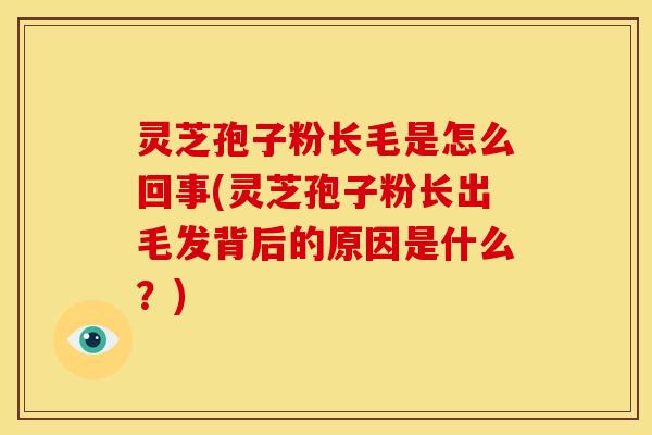 灵芝孢子粉长毛是怎么回事(灵芝孢子粉长出毛发背后的原因是什么？)