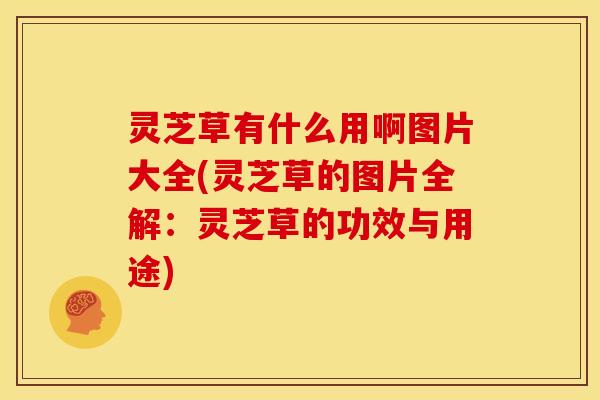 灵芝草有什么用啊图片大全(灵芝草的图片全解:灵芝草的功效与用途)