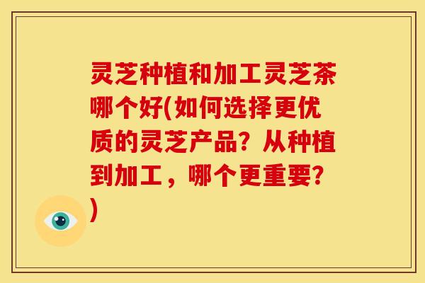 灵芝种植和加工灵芝茶哪个好(如何选择更优质的灵芝产品?从种植到加工,哪个更重要?)
