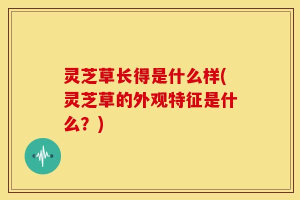 灵芝草长得是什么样(灵芝草的外观特征是什么?)
