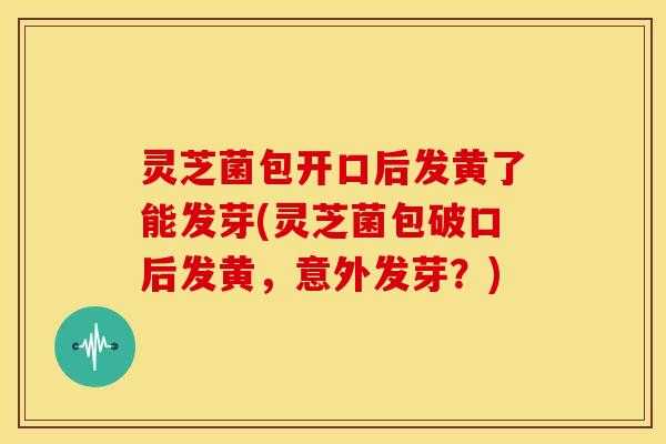 灵芝菌包开口后发黄了能发芽(灵芝菌包破口后发黄,意外发芽?)