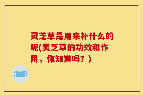 灵芝草是用来补什么的呢(灵芝草的功效和作用,你知道吗?)