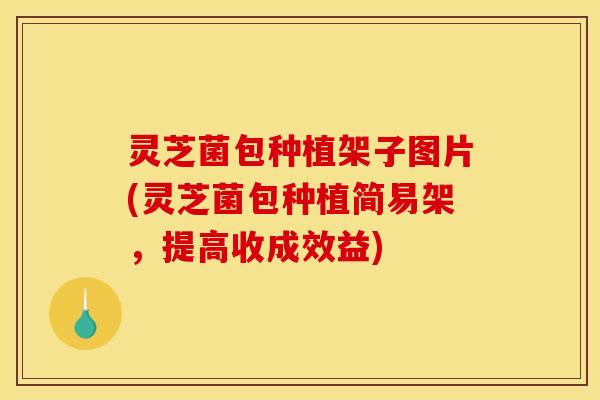 灵芝菌包种植架子图片(灵芝菌包种植简易架，提高收成效益)