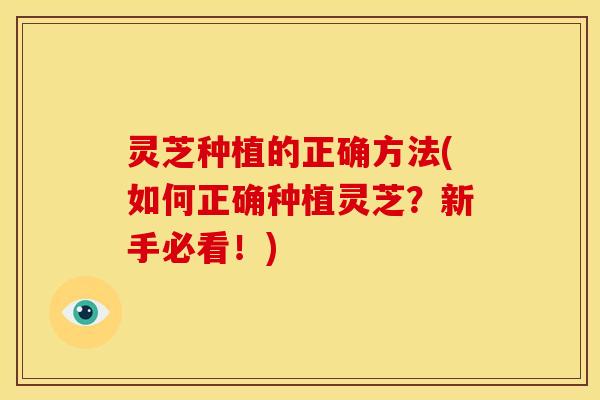 灵芝种植的正确方法(如何正确种植灵芝?新手必看!)