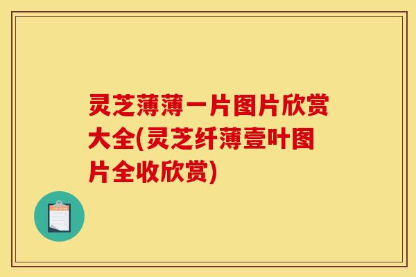 灵芝薄薄一片图片欣赏大全(灵芝纤薄壹叶图片全收欣赏)