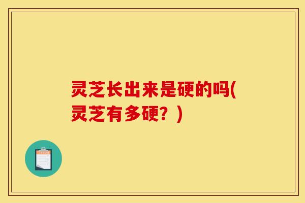 灵芝长出来是硬的吗(灵芝有多硬?)