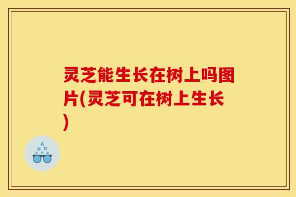 灵芝能生长在树上吗图片(灵芝可在树上生长)
