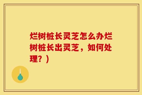 烂树桩长灵芝怎么办烂树桩长出灵芝，如何处理？)