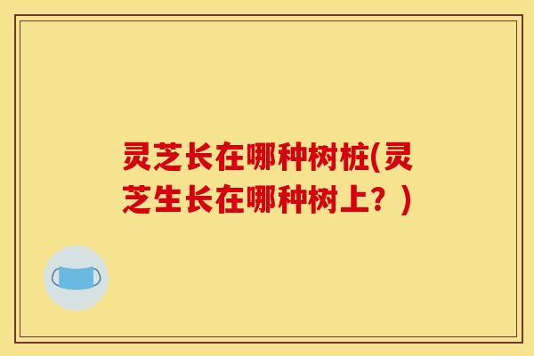 灵芝长在哪种树桩(灵芝生长在哪种树上？)