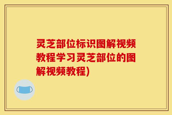 灵芝部位标识图解视频教程学习灵芝部位的图解视频教程)