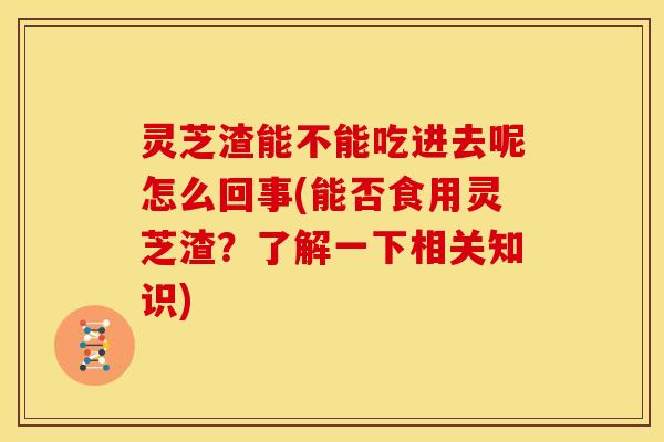 灵芝渣能不能吃进去呢怎么回事(能否食用灵芝渣？了解一下相关知识)