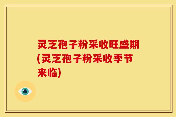 灵芝孢子粉采收旺盛期(灵芝孢子粉采收季节来临)