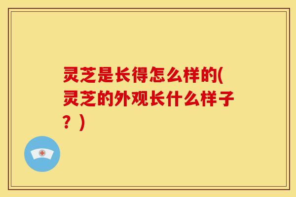 灵芝是长得怎么样的(灵芝的外观长什么样子？)