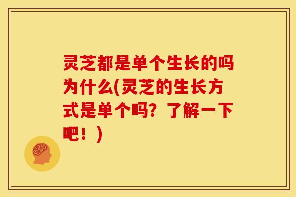 灵芝都是单个生长的吗为什么(灵芝的生长方式是单个吗?了解一下吧!)