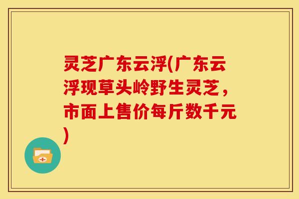 灵芝广东云浮(广东云浮现草头岭野生灵芝,市面上售价每斤数千元)