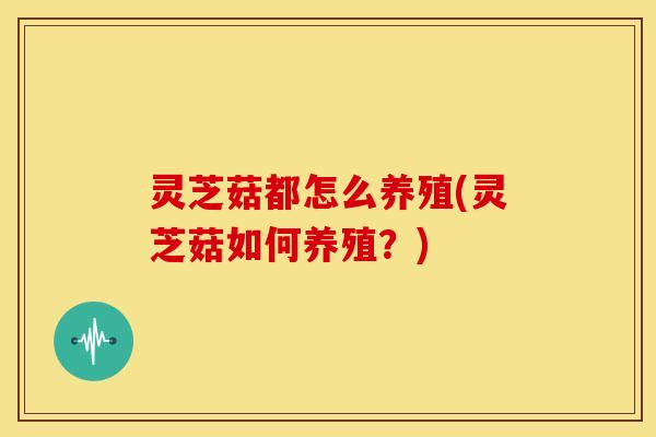 灵芝菇都怎么养殖(灵芝菇如何养殖?)