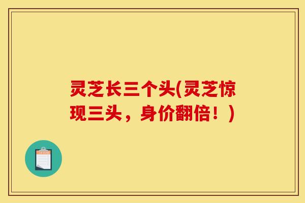 灵芝长三个头(灵芝惊现三头,身价翻倍!)