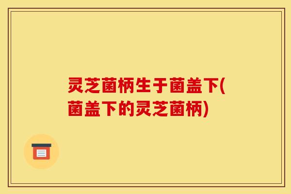 灵芝菌柄生于菌盖下(菌盖下的灵芝菌柄)
