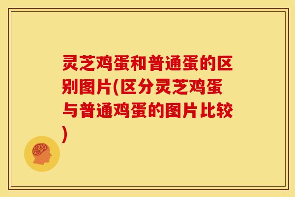 灵芝鸡蛋和普通蛋的区别图片(区分灵芝鸡蛋与普通鸡蛋的图片比较)