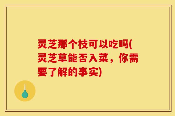 灵芝那个枝可以吃吗(灵芝草能否入菜，你需要了解的事实)