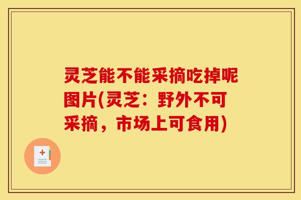 灵芝能不能采摘吃掉呢图片(灵芝：野外不可采摘，市场上可食用)
